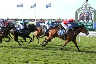 Kiwi Ada impressively wins the Canterbury Belle Stakes. Photo Credit - Race Images Christchurch